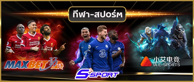  magma18 banner-sport
